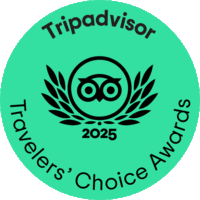 tc-green-winner-standard-gif-l-2025
