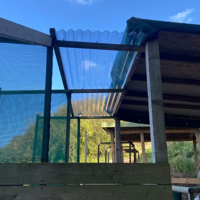 Clay Pigeon Shooting 242779504_3815804621852544_2338776445314247899_n
